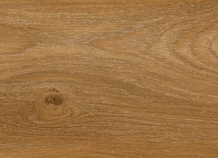 Canelle Oak